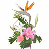 ˺ʻٵ
