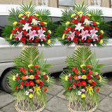 ˺ʻԤ